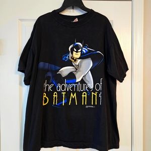 The adventure of Batman and Robin shirt